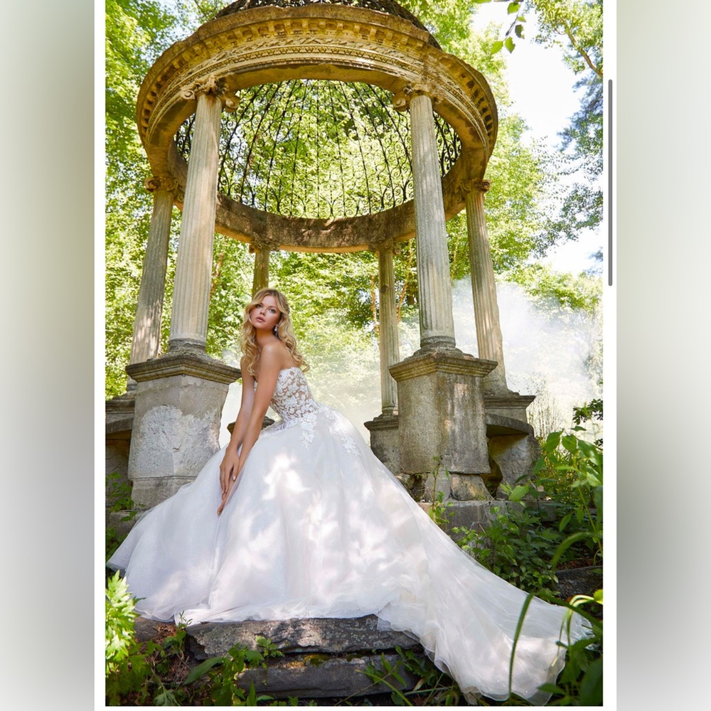 Mori Lee Embroidery NWT color ivory